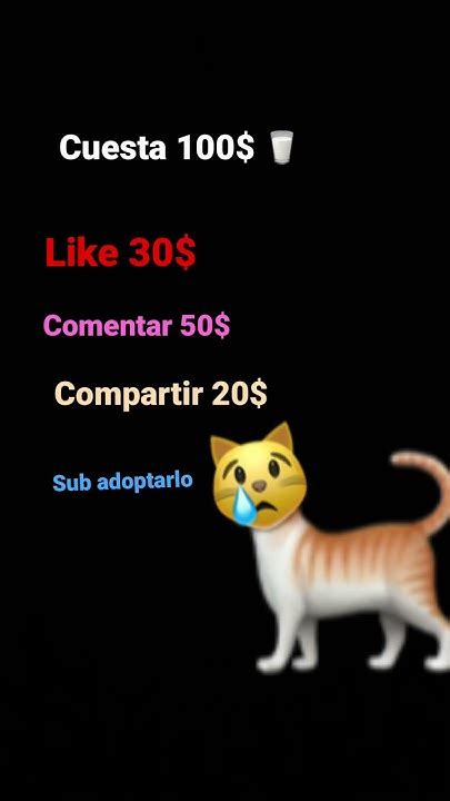 Ayuda Al Michi 🐈‍⬛ Youtube