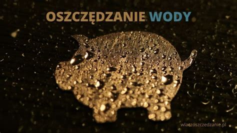 Oszcz Dzanie Wody W Firmie Domu I Ogrodzie W Cz Oszcz Dzanie