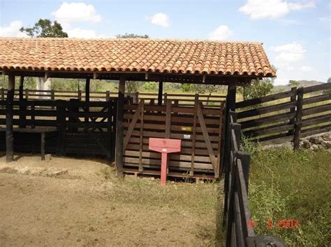 Fazenda de 440 alqueires em Natividade TO Terrenos sítios e