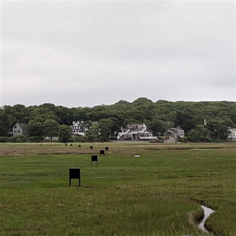 New Greenhead Trap Boxes Marsh At The Back Of Good Harbor Beach Both