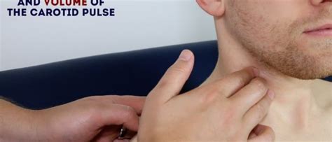 Palpate Brachial Pulse