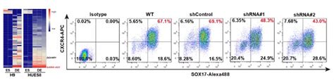 科学网—武汉大学蒋卫团队揭示长非编码rna Gata6 As1对早期谱系特化的调控机制 小柯生命的博文