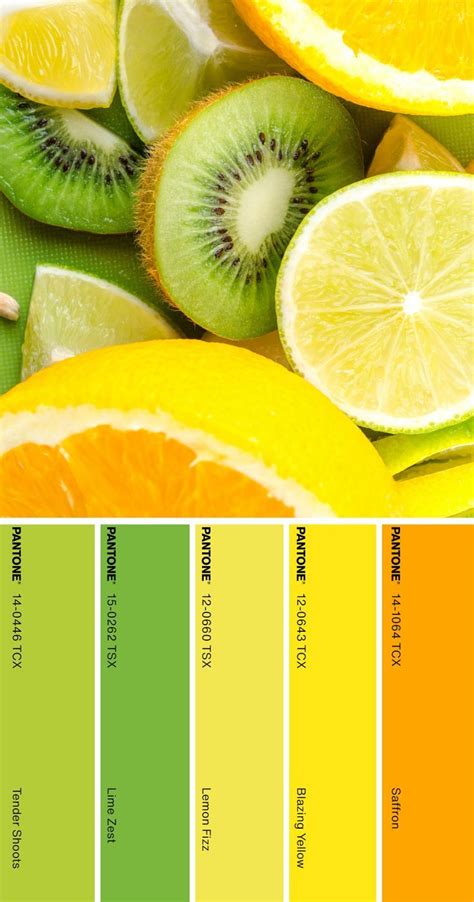 Pantone Color Palette Pantone Color Palette Fruit Healthy Color