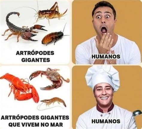 Insetos aquáticos Meme by Neguim do RJ Memedroid