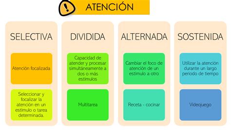 Etapas En El Procesamiento De La Informaci N Flashcards