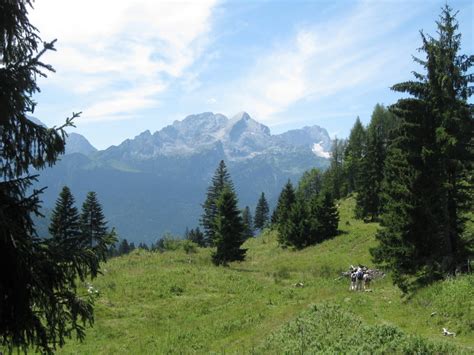 Wandern Von Klais Ber Den Wamberg Nach Garmisch Partenkirchen Tour