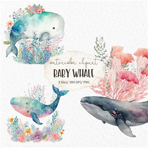 Baby Whale Watercolor Clipart PNG Cute Nursery Wall Art Cartoon Clipart ...