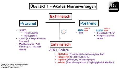 Akutes Nierenversagen Bersicht The Clinical Problem Solvers