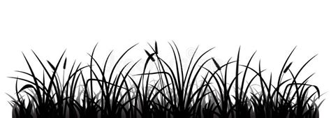 Grass Silhouette Stock Illustrations – 105,260 Grass Silhouette Stock ...