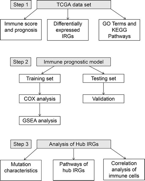 Frontiers Immune Stromal Score Signature Novel Prognostic Tool Of