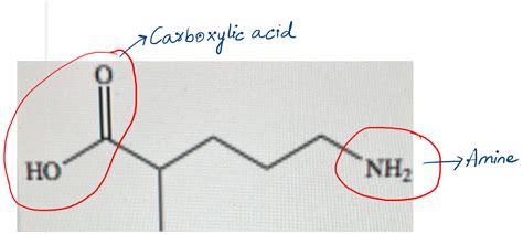 Solved What Are The Two Functional Group Present In The Molecule HO