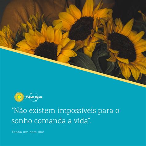 Frases Sobre Otimismo E Felicidade Para Animar O Seu Dia