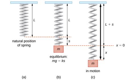 Simple Harmonic Motion Calculus Iii