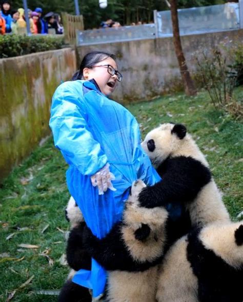 令全世界都嫉妒的女人，她夺走了所以大熊猫的初吻！