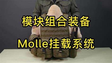 MOLLE PALS模块化挂载系统简介 战术装备入门系列 军事 武器装备 好看视频