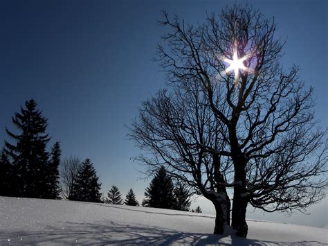 Schnappschüsse des Monats Februar Tirol Hall Rum