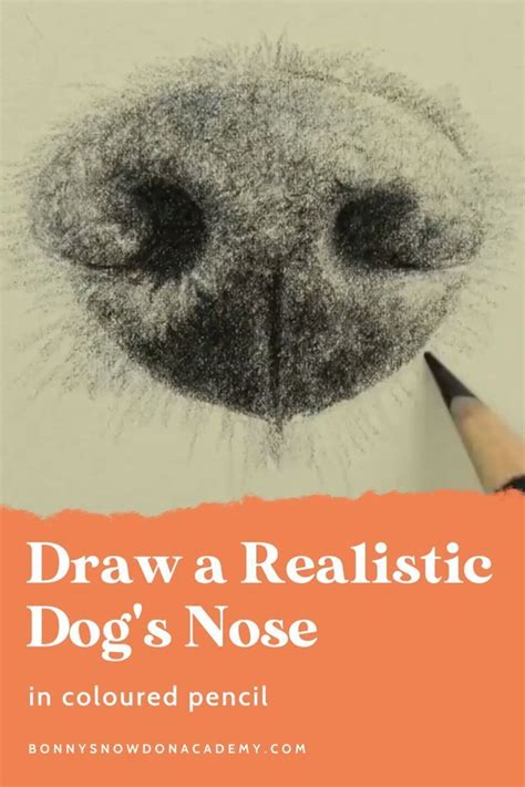 Learn to draw a realistic dog s nose free tutorial – Artofit