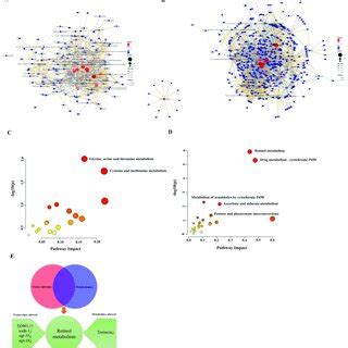 Integrated Analysis Of Metabolomic And Transcriptomic Data Correlation