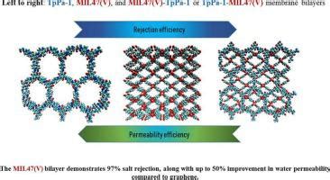 Desalination Performance Investigation Of TpPa 1 COF And MIL 47 V MOF