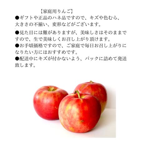 くすみファーム 青森県産りんご 「葉とらずサンふじ やや小玉 10kg 家庭用 」訳あり 完熟 林檎 果物 新鮮 農園から産地直送便 甘い