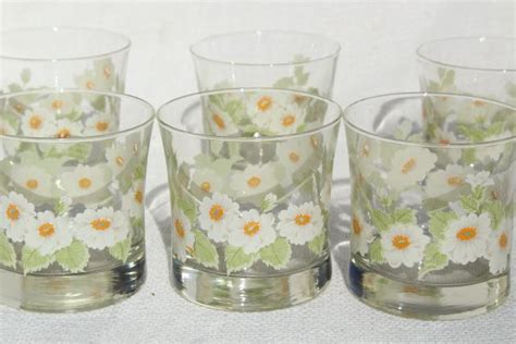 Retro Daisies Vintage Glass Tumblers Old Fashioned Lowball Drinking Glasses Daisy Print