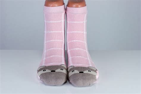 Funny Animal Crazy Socks Striped Faced | Free Shipping