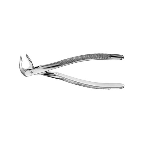 Forceps Apical X N Anterior Inferior Implanetic