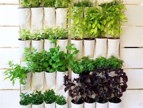 Astuces pour créer un jardin ou potager vertical chez soi