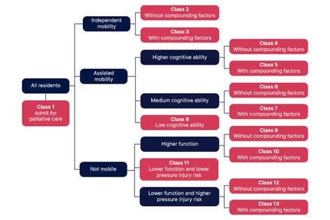 The Australian National Aged Care Classification Ausmed