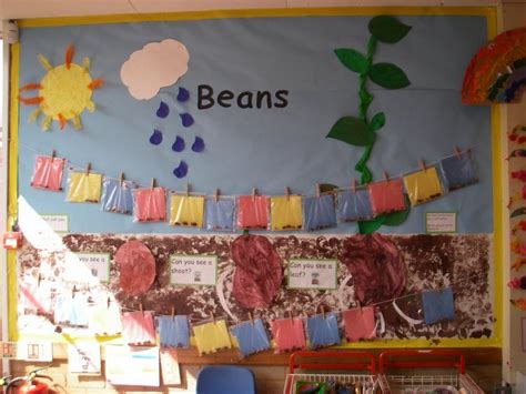 Beans Display Classroom Display Class Display Plants Flowers Growth Growing Planting