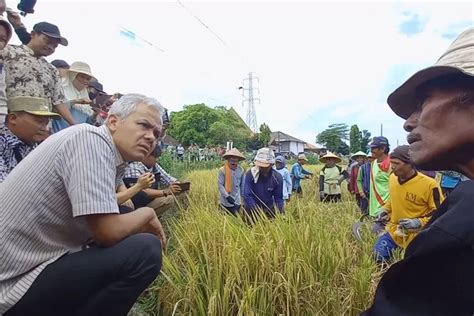 Ganjar Pranowo Minta Petani Ikut Awasi Pupuk Bersubsidi Jika Temukan