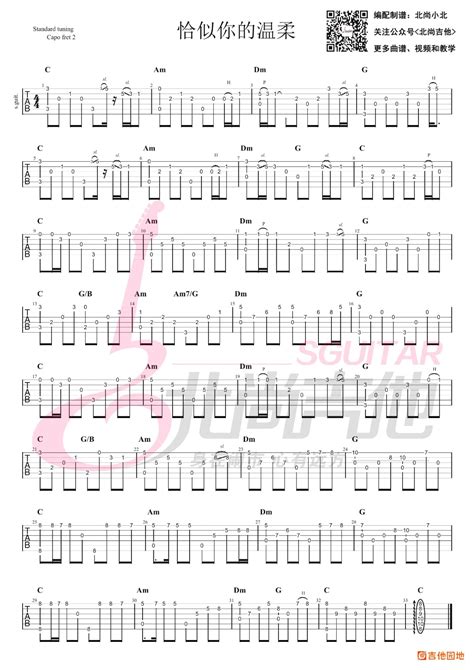 恰似你的温柔吉他谱蔡琴吉他弹唱六线谱附指弹谱 吉他园地