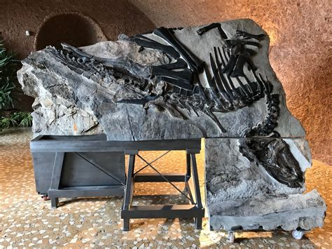 Il Dinosauro Bruno Al Completo Esposto Al Pubblico Per La Prima Volta