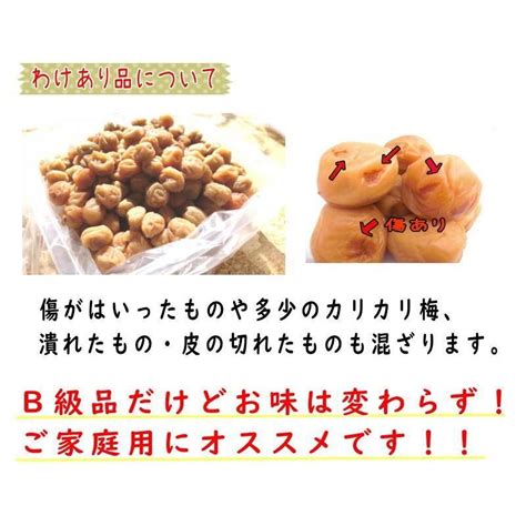 白干小梅 2キロ（1kg×2） ご家庭用 B級品 【梅干し】【うめぼし】 Shiraboshikoume2梅とみかん 紀州葵農園 通販