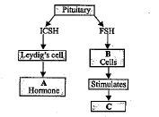 Given Above Is An Incomplete Flow Chart Showing Influence Of Hormones