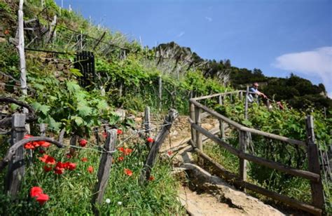 Cinque Terre Private Day Trip From Florence With Lunch