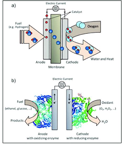 A A Typical Fuel Cell And B An Enzyme Based Biofuel Cell [2] Download Scientific Diagram