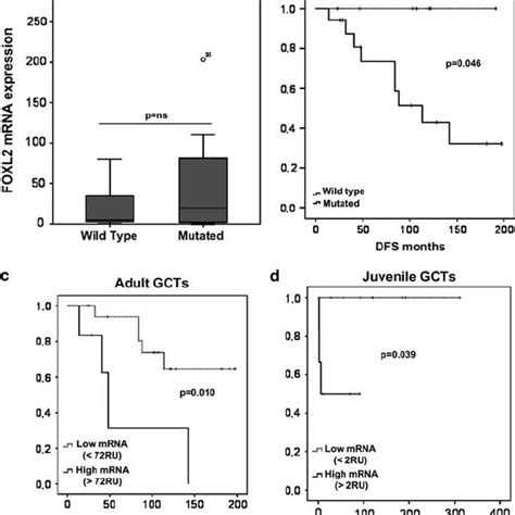 A D Cases Of Ovarian Granulosa Cell Tumors Adult Type Showing Download Scientific