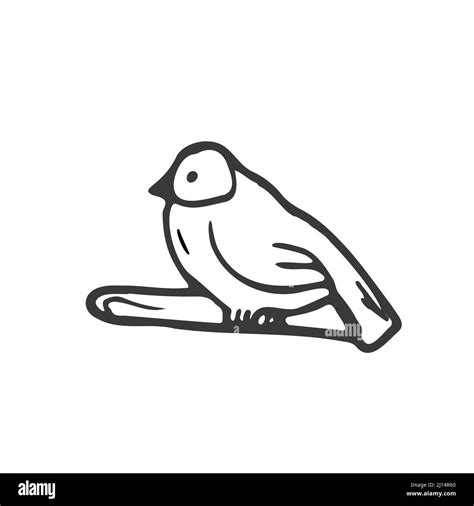 Vector Hand Drawn Doodle Sketch Bird Isolated On White Background