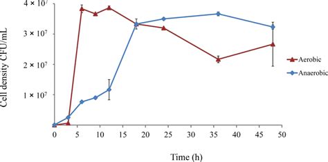 Growth Course Of E Coli Rel4536 Under Aerobic And Anaerobic Conditions