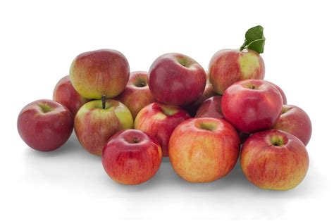 What Is An Idared Apple A Guide To Idared Care And Growing