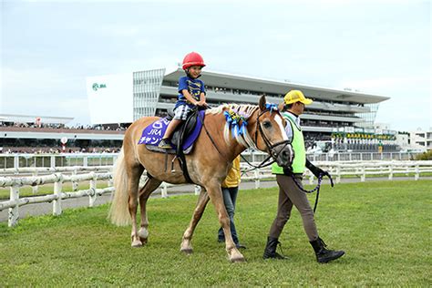 主な施設：札幌競馬場 Jra