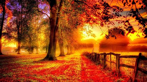 Thanksgiving Scenery Wallpaper