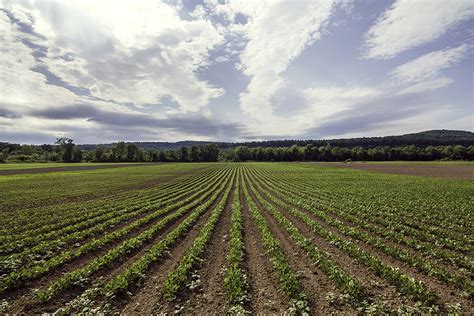 HV Farm Hub Hudson Valley Farm Hub