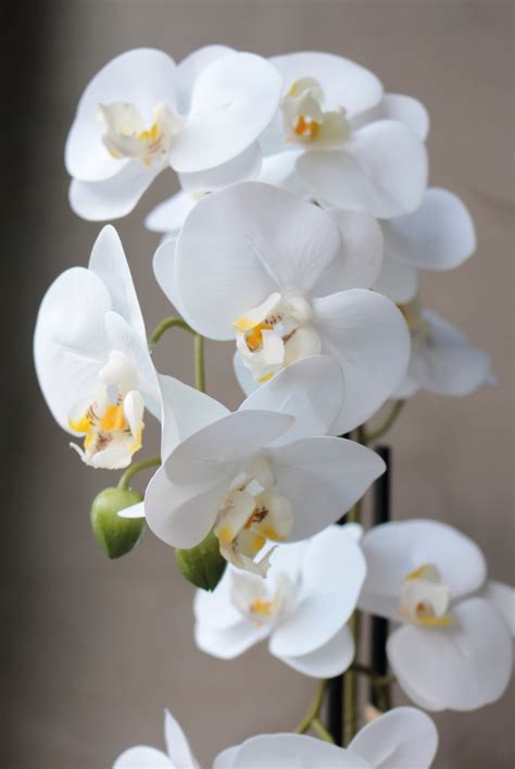 Künstliche Orchidee Phalaenopsis 2 fach getopft 45 cm Real Touch