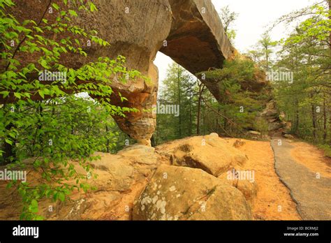 Sky Bridge Red River Gorge Geological Area Slade Kentucky Stock Photo