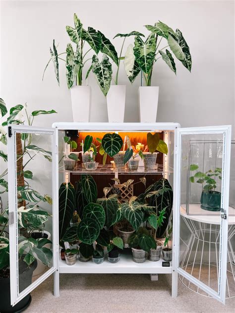 Custom Ikea Acrylic Shelves For Ikea Greenhouse Cabinet Ikea Plants