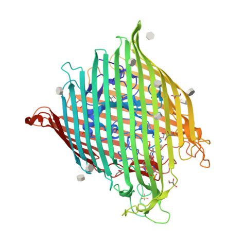 Rcsb Pdb I Structure Of The Ferrioxamine B Transporter Foxa From