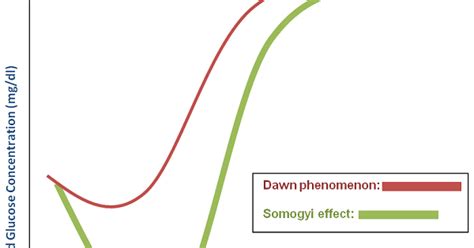 Dawn Phenomenon and Somogyi Effect | MedPrepOnline