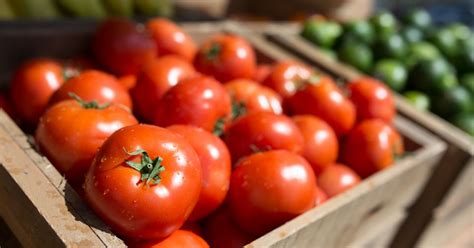 Pourquoi Vous Ne Devriez Jamais Mettre Vos Tomates Au Frigo Terrafemina